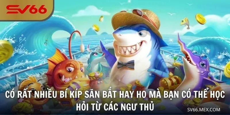 Có rất nhiều bí kíp săn bắt hay ho mà bạn có thể học hỏi từ các ngư thủ