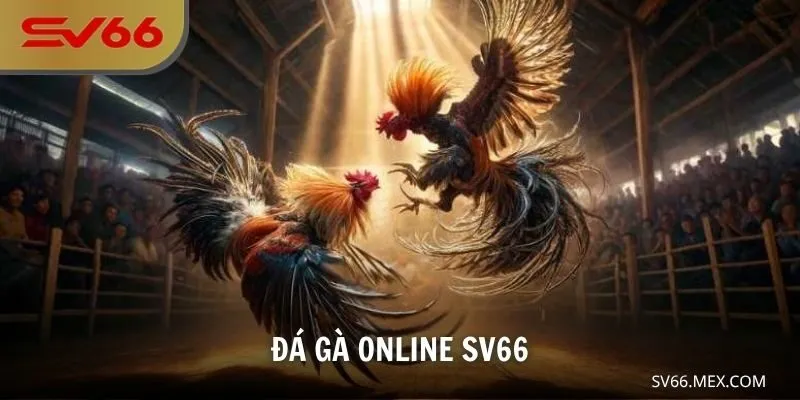 Đá gà online SV66