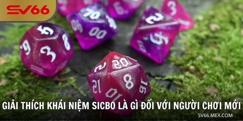Giải thích khái niệm Sicbo là gì đối với người chơi mới