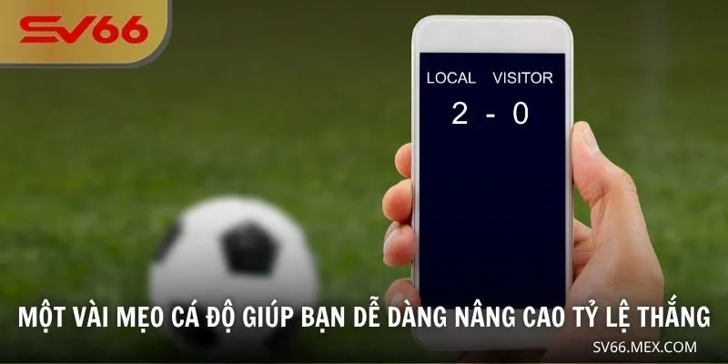 Một vài mẹo cá độ giúp bạn dễ dàng nâng cao tỷ lệ thắng