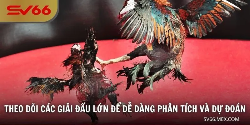 Theo dõi các giải đấu lớn để dễ dàng phân tích và dự đoán