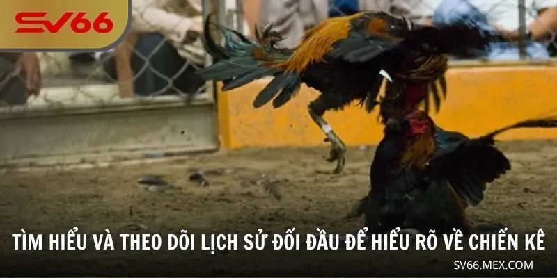 Tìm hiểu và theo dõi lịch sử đối đầu để hiểu rõ về chiến kê