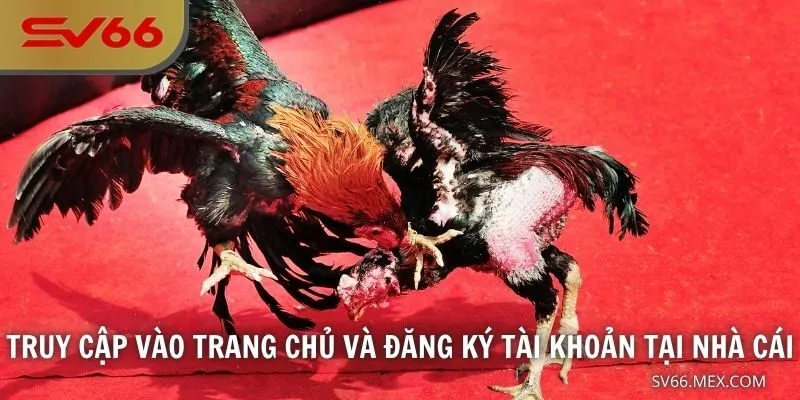 Truy cập vào trang chủ và đăng ký tài khoản tại nhà cái