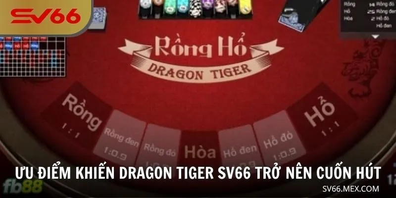 Ưu điểm khiến Dragon Tiger SV66 trở nên cuốn hút